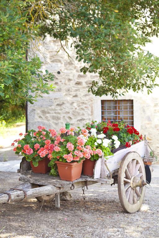 Agriturismo Tenuta Armaiolo رابولانو تيرمي المظهر الخارجي الصورة